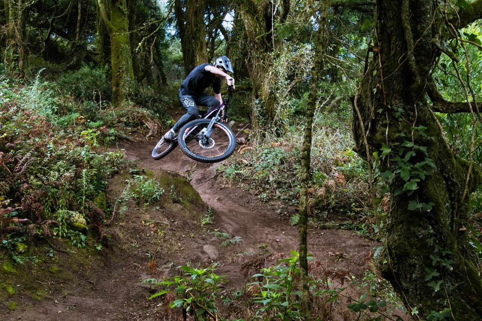 Rider jumping a Sintra forest trail